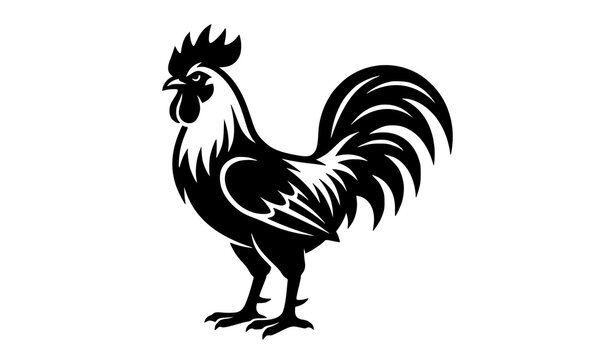 Minimal Black Rooster Silhouette Standing Confidently Vector Illustration for Farm Logo Emblem Design