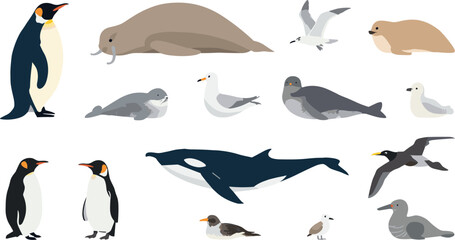Antarctic and Arctic Polar Wildlife Vector Set Featuring Penguins, Orca Killer Whale, Walrus, Seals, and Various Flying Sea Bird Illustrations © SUMON