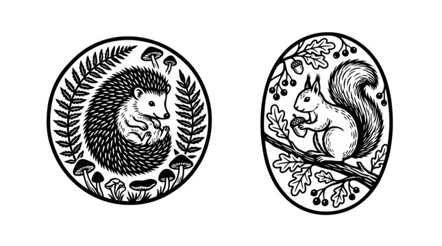 Forest Friends: Hedgehog and Squirrel Hand-Drawn Illustrations