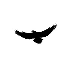 Obraz premium Bird silhouette