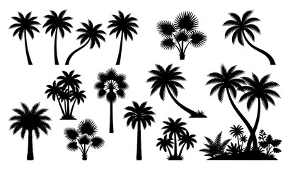 Fototapeta premium Black Palm Tree Silhouette Set SVG – Tropical Coconut Palm Vector Illustration Collection