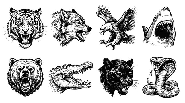 Wild Animal Heads Set: Tiger, Wolf, Eagle, Shark, Bear, Gator, Panther, Cobra