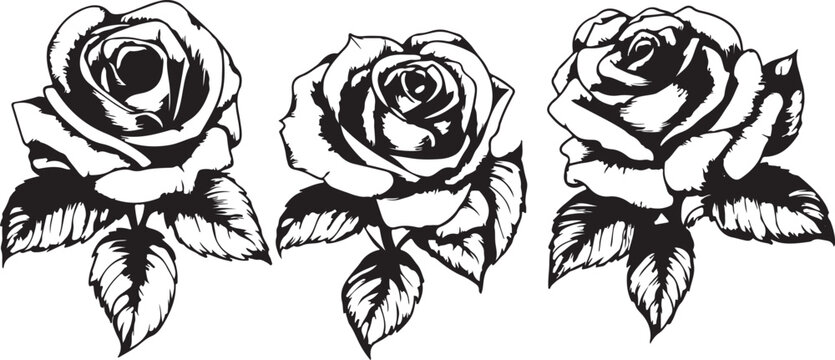 Skull tattoo tribal vector illustration with rose floral seamless pattern design