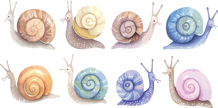 Close-up of a brown spiral snail shell isolated on a white background