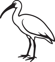 Obraz premium Black and white illustration of a large wading bird with a long curved beak standing alone