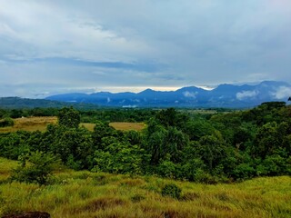 Obraz premium The Layered Green Valley