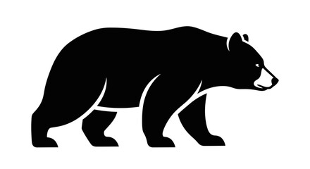 Fototapeta premium Black bear walking on ground.