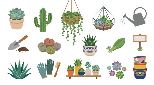 Flat Vector Gardening Set: Succulents, Cacti, Houseplants, and Plant Care Tools Collection