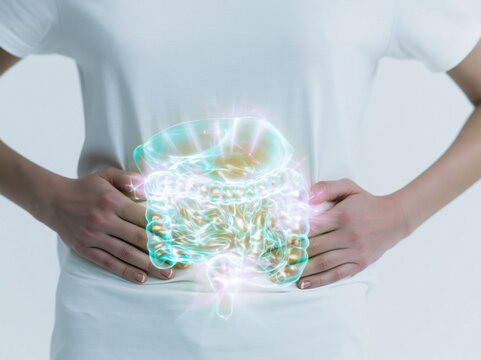 Anatomical glowing visualization of human digestive organs on a womans belly with soft clinical light for medical and healthcare education