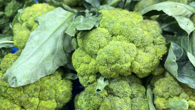 Closeup of broccoli