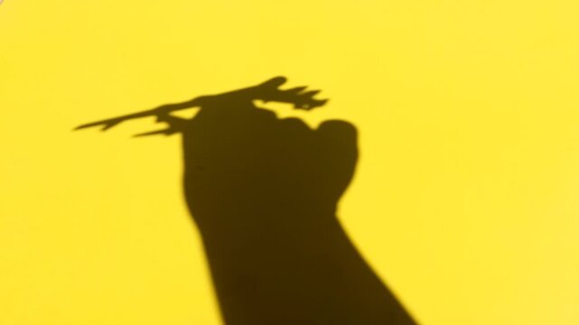 Hand holding a delicate tree branch casting a shadow silhouette of a small airplane against a bright yellow background