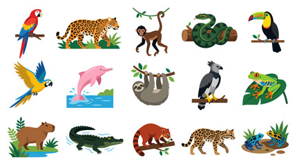 Fototapeta premium Colorful Flat Vector Illustration of Amazon Rainforest Animals and Jungle Wildlife Set