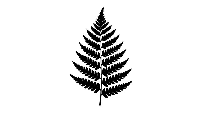Black fern leaf botanical silhouette.