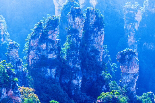 Breathtaking quartz sandstone pillars rising into a deep blue atmospheric haze at Yuanjiajie in Zhangjiajie National Forest Park China