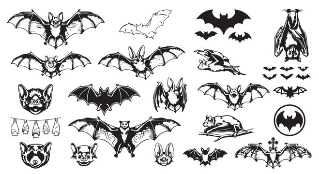 Collection of various black and white hand drawn flying and hanging bat silhouettes with halloween