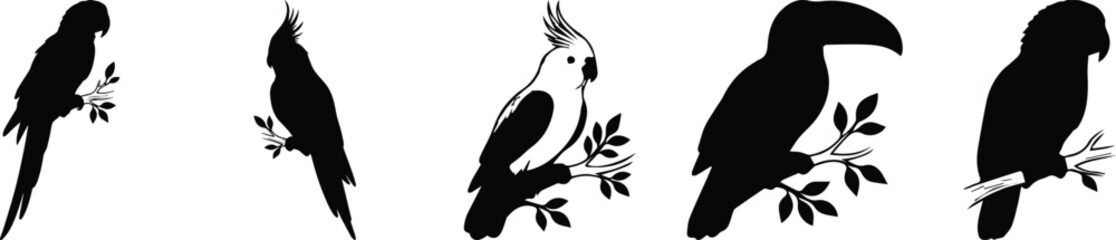 Obraz premium Tropical bird silhouettes set, black parrot and toucan vector icons, exotic cockatoo and macaw bird collection on branches for nature design