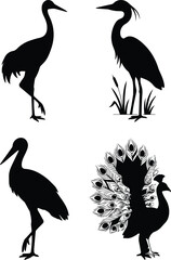 Obraz premium Elegant bird silhouettes set, black crane and heron vector icons, peacock with feathers and stork illustrations for nature logos and wildlife branding