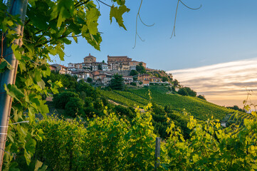 Fototapeta premium Scenic view of La Morra hilltop village framed by green grapevine leaves in Langhe, Cuneo, Piedmont, Italy. Picturesque countryside landscape with vineyards at sunset.