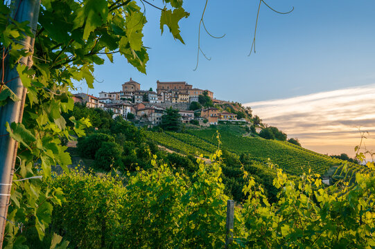 Scenic view of La Morra hilltop village framed by green grapevine leaves in Langhe, Cuneo, Piedmont, Italy. Picturesque countryside landscape with vineyards at sunset.