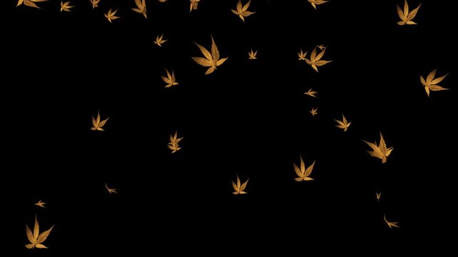 3D Many leaves fall from trees. Fallen leaves on the ground move, Many leaves are falling to the ground, Autumn maple leaves sway falling, many falling leaves to the ground strewn. 4k animation