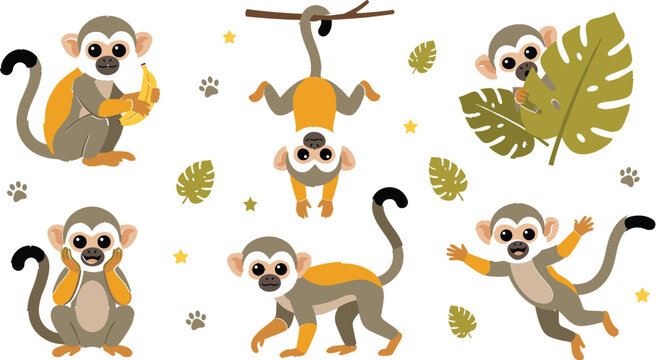 Cute squirrel monkey collection featuring playful cartoon monkeys eating bananas swinging climbing and jumping in jungle style