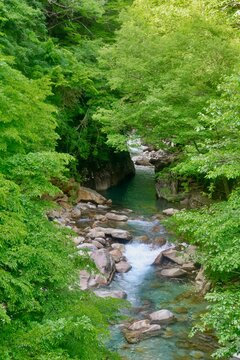 柿其渓谷・かきぞれけいこく（長野県・南木曽町）