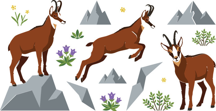 Alpine chamois mountain goat collection featuring wildlife poses on rocky cliffs with mountain landscape and wildflower elements