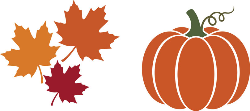 Autumn Pumpkin and Colorful Maple Leaves Fall Vector Design
