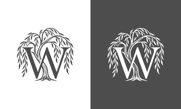 Letter w willow tree logo ill...