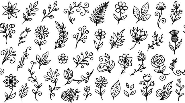 Hand drawn floral element set with rustic wild flowers leaves herbs branches vines and botanical doodles outline sketch vector illustration