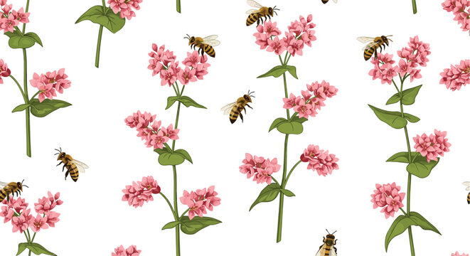 Seamless pattern with flying honey bees and pink buckwheat flowers on white background for honey product designs.