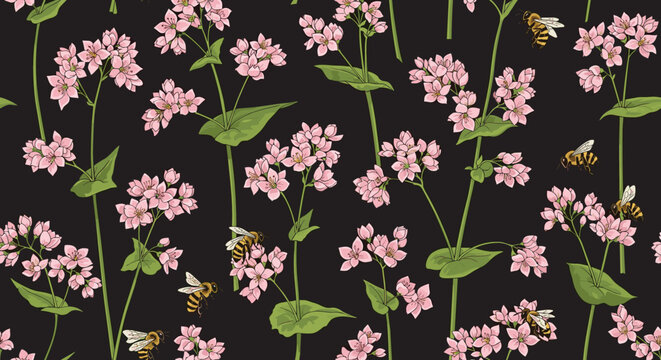 Seamless background pattern of pink buckwheat flowers on long green stems with bees flying around them against a dark black backdrop.