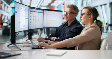 Naklejka premium Two HR Specialists Reviewing Payroll System Data
