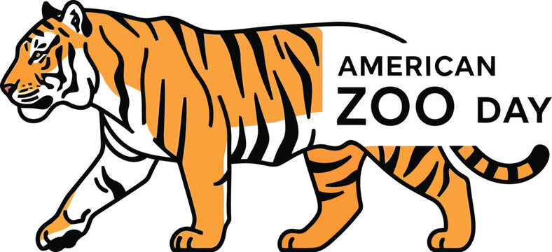 American Zoo Day Poster with Walking Tiger Cartoon Illustration on White Background