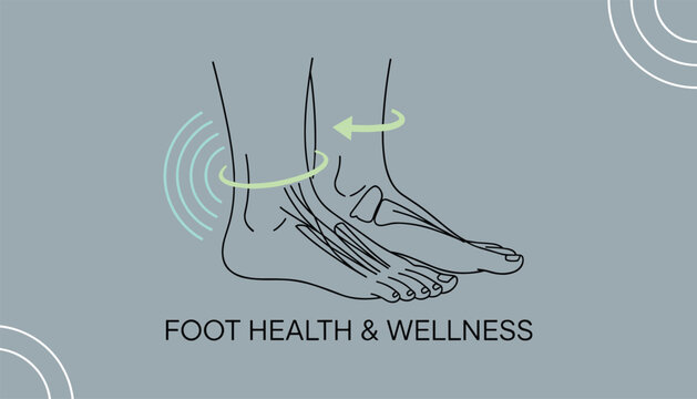 Foot health and wellness anatomical line art illustration showing ankle joint rotation and heel support on grey.