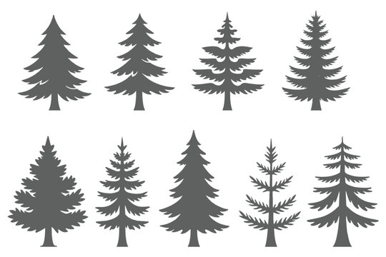 Forest trees set. Isolated vector silhouette. Coniferous forest. Christmas tree, fir-tree, pine, pine-tree, Scotch fir, cedar silhouette vector illustration