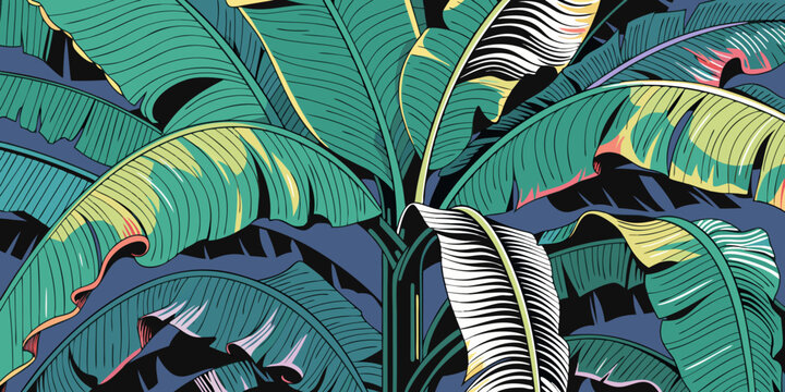 Close-up of tropical banana leaves with intricate vein patterns and colorful highlights tropical botanical close-up illustration background vegetation highlight colorful