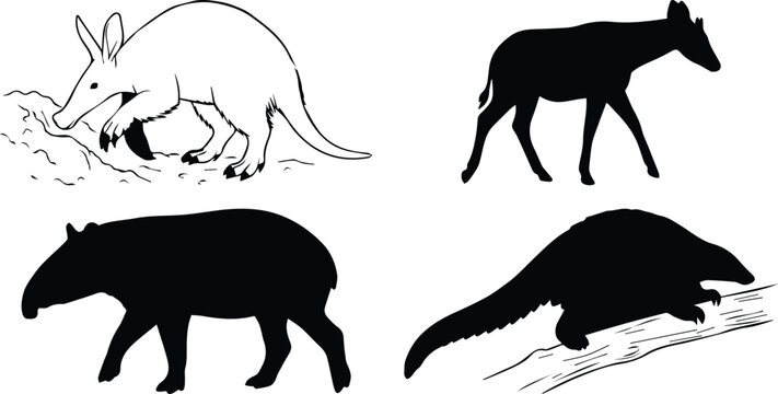 Exotic wild animal silhouettes and line art set, aardvark and tapir vector illustrations, collection of 4 unique wildlife species icons for nature design