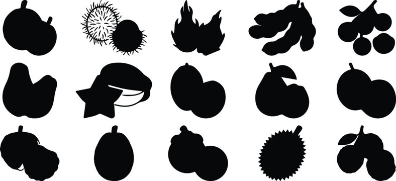 Tropical fruit silhouette icons set, exotic fruit vector collection featuring dragon fruit and durian, 15 black organic food shapes for menu design isolated PNG with Transparent Background