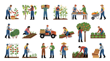 Fototapeta premium Diverse Farmers Working in Garden, Harvesting Crops, Farm, Agriculture, Flat Style
