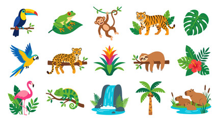 Fototapeta premium Flat Vector Collection of Tropical Rainforest Animals and Plants