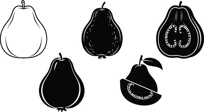 Black and white guava fruit vector illustration set, sliced guava design, hand drawn tropical fruit art, healthy organic food collection
