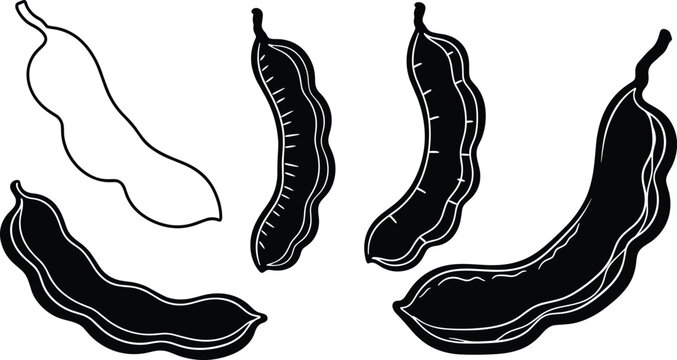 Black and white tamarind pod vector illustration set, tropical fruit design, organic food artwork, detailed exotic plant silhouette art