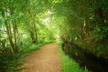 Chemin au milieu de la foret longeant un cours d'eau, Huelgoat, la promenade du Canal. (Sentier du canal de la Mine) © jmbreizh