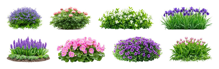 Obraz premium PNG Vibrant garden flowers in full bloom, transparent background