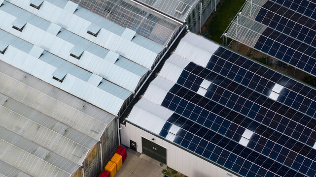 Aerial view of greenhouses with solar panels on the roof in Middenmeer, North Holland, Netherlands.