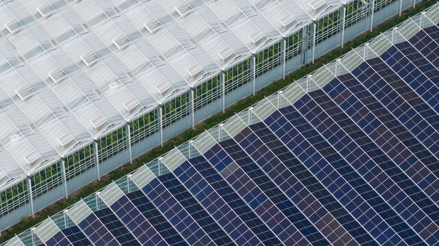 Aerial view of modern greenhouses featuring glass roofs and integrated solar panels in Middenmeer, North Holland, Netherlands.