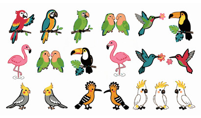 Cute exotic bird vector set with parrots flamingo toucan and hummingbird isolated on white © MdNaim