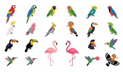 Different parrots and exotic bird flat icon set with macaw toucan flamingo and hummingbird isolated on white © MdNaim