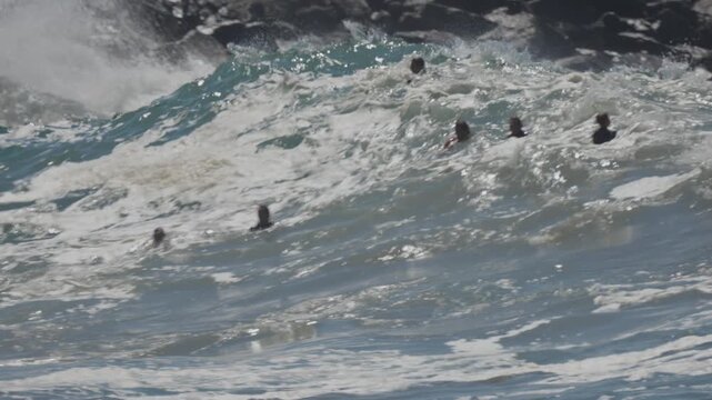 Monster surf at the wedge during large swell
